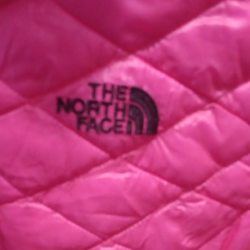 The North Face Fuchsia Quilted Vest - Picture 2 of 8